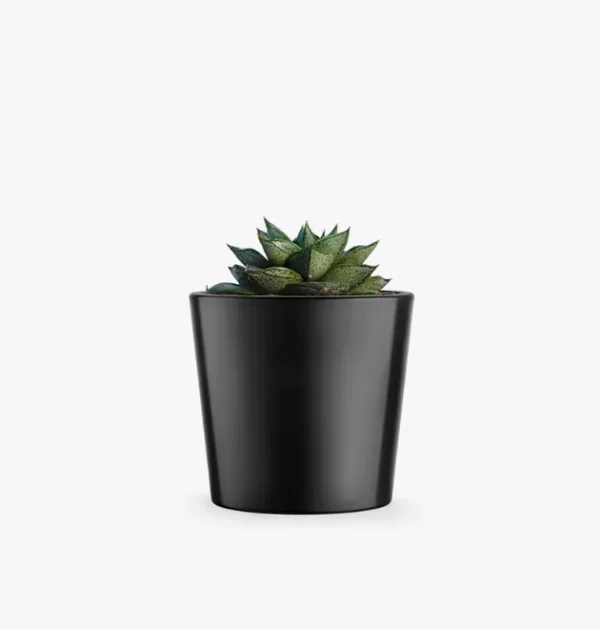 product-image-3_optimized Augue Neque