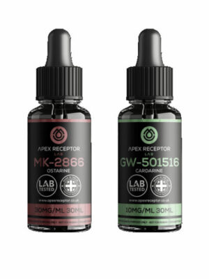 Beginner Stack – Fat Burner